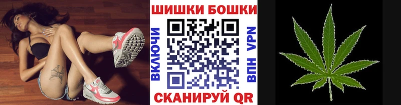 Бошки марихуана ГИДРОПОН цены Шилка